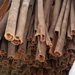 Kayu kayu manis Cina borong